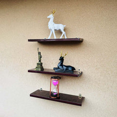 Set of 3 large wall mount floating shelves, Decoration shelves , Wall Shelves, Brown color shelves,