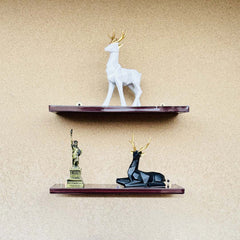 Set of 2 large wall mount floating shelves, Decoration shelves , Wall Shelves, Brown color shelves,